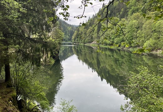 23-05-20 11-03-31 5481